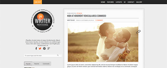WordPress Theme